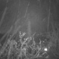 Webcam_20211118-063000