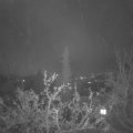 Webcam_20211118-064500