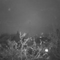 Webcam_20211118-070000
