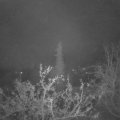 Webcam_20211119-051500