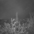 Webcam_20211119-053000
