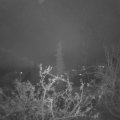 Webcam_20211119-070000