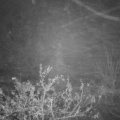 Webcam_20211119-174500
