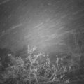 Webcam_20211119-181500