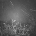 Webcam_20211119-183000