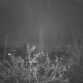 Webcam_20211119-193000