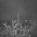 Webcam_20211119-201500