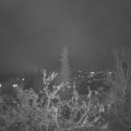Webcam_20211119-203000