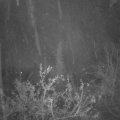 Webcam_20211120-054500