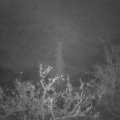 Webcam_20211121-051500