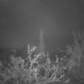 Webcam_20211121-054500