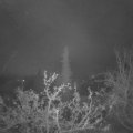 Webcam_20211121-060000