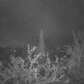 Webcam_20211121-061500