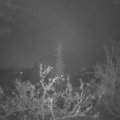 Webcam_20211121-064500