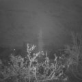 Webcam_20211121-070000
