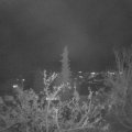 Webcam_20211121-193000