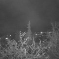 Webcam_20211121-203000