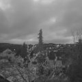 Webcam_20211122-071500