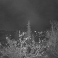 Webcam_20211122-194500