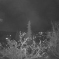 Webcam_20211122-203000