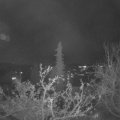 Webcam_20211122-204500