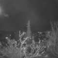 Webcam_20211122-211500