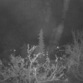 Webcam_20211125-050000