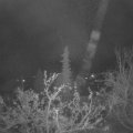 Webcam_20211125-051500