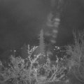 Webcam_20211125-060000