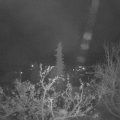 Webcam_20211125-061500