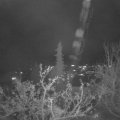 Webcam_20211125-191500