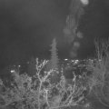 Webcam_20211125-203000