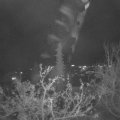 Webcam_20211125-210000