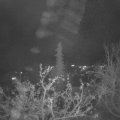 Webcam_20211125-213000