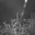 Webcam_20211125-214500