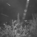 Webcam_20211125-220000