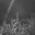 Webcam_20211126-060000