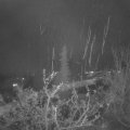 Webcam_20211126-210000