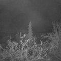 Webcam_20211127-050000