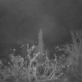 Webcam_20211127-051500