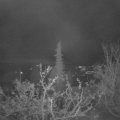Webcam_20211127-060000