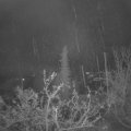Webcam_20211127-063000