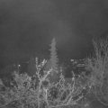 Webcam_20211127-064500