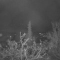 Webcam_20211127-070000