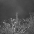 Webcam_20211127-210000