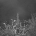 Webcam_20211127-214500