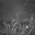 Webcam_20211128-191500