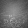 Webcam_20211129-053000