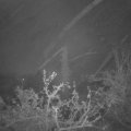 Webcam_20211129-054500