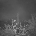 Webcam_20211129-060000